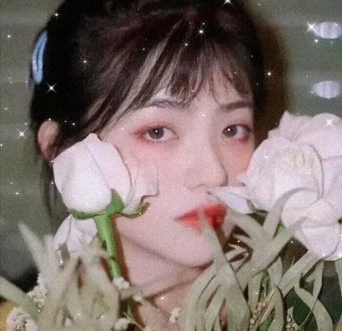 毛骗 封面